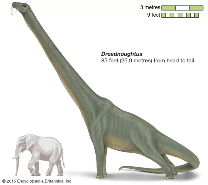 Qual o maior dinossauro que já existiu Proto Animal Brasil Explore