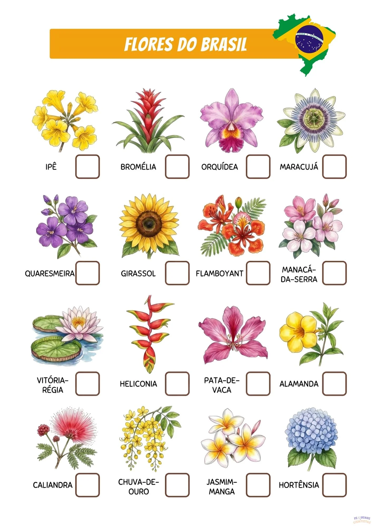 Flores do Brasil