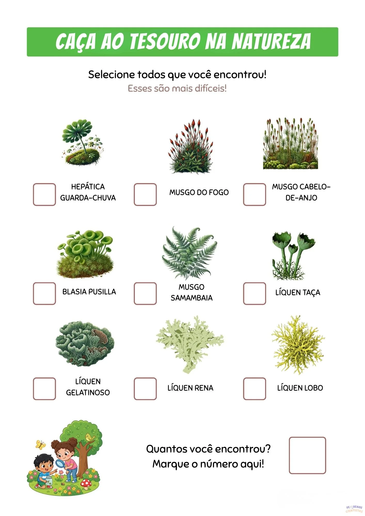 Caça ao tesouro — musgos e líquens raros