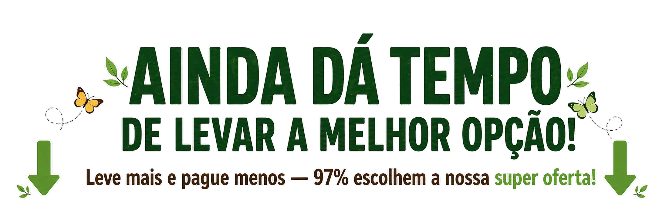 Ainda dá tempo de escolher a melhor opção
