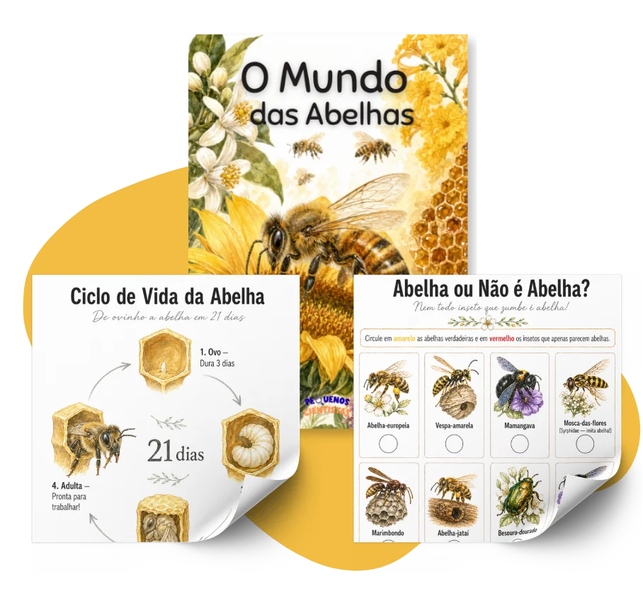 O Mundo das Abelhas