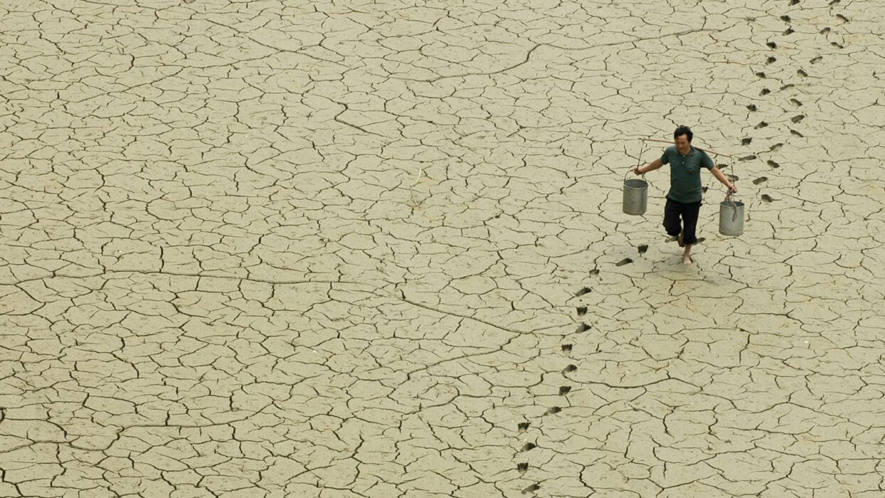 La sequía debido al cambio climático