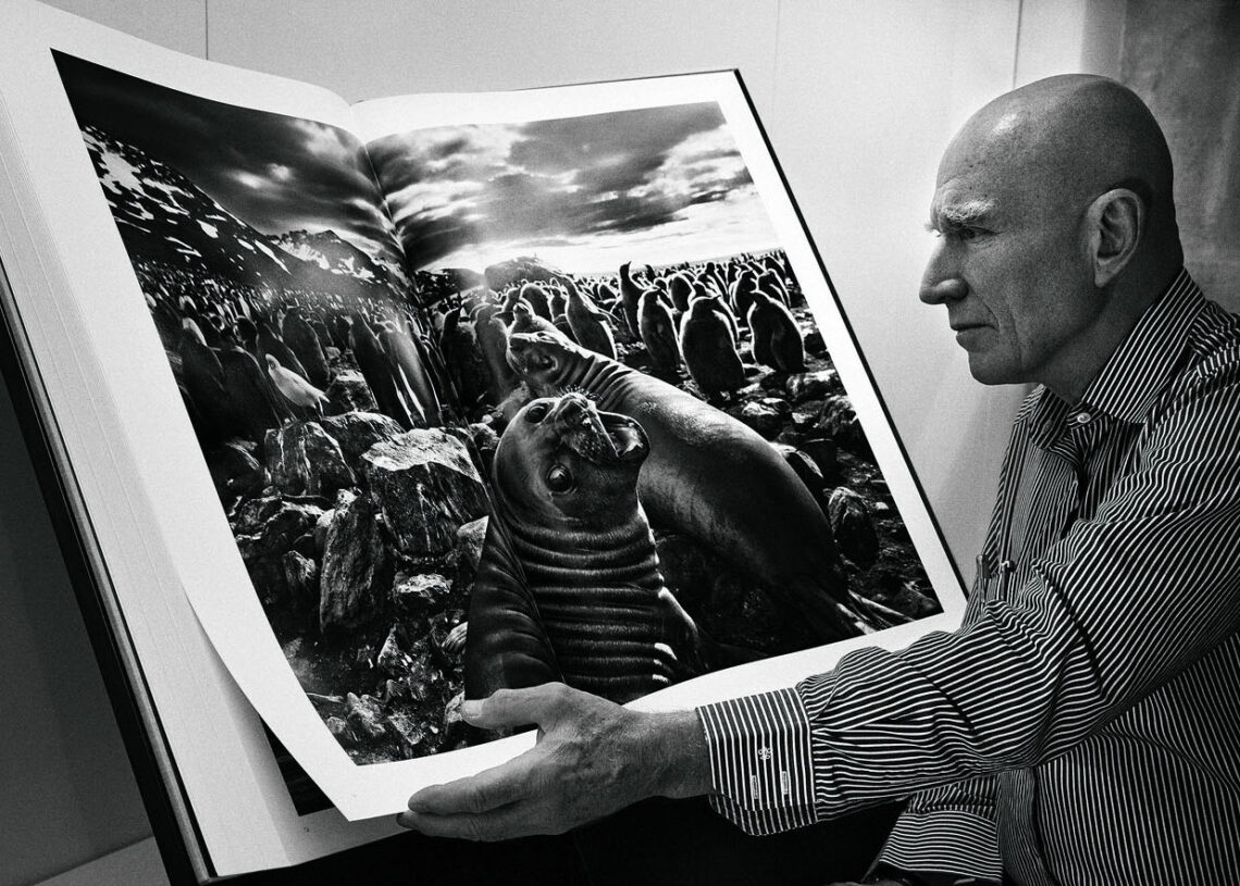 Sebastião Salgado, fotógrafo brasileiro e prestigiado internacionalmente, apreciando sua obra intitulada Genesis.