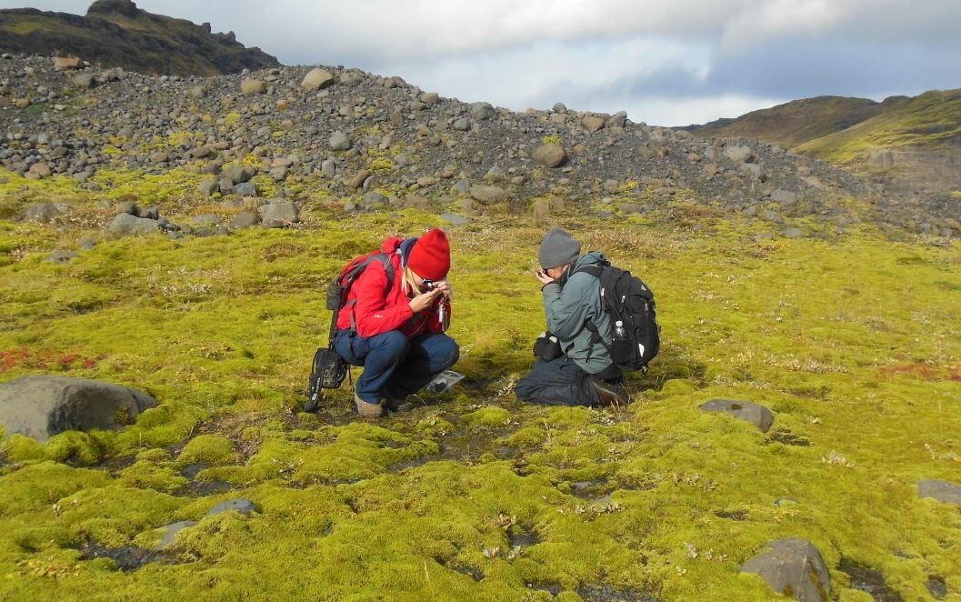 A vida primitiva na terra se assemelhava a solos como este campo da lava na Islândia. A co-autora Sylvia Pressel aparece à direita na foto. Crédito: Paul Kenrick