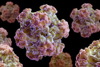 7 HPV Myths Revealed RM 722x406