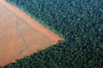 desmatamento amazônia sob bolsonaro 1