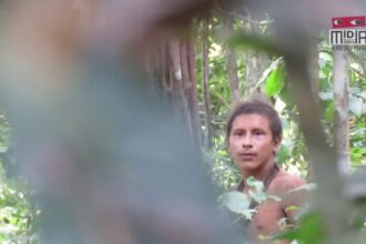 tribo isolada na amazônia