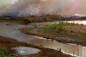 floresta amazônica pode entrar em colapso