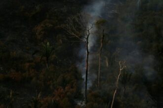 2019 08 29t231257z 1102615492 rc16b213bca0 rtrmadp 3 brazil environment wildfires