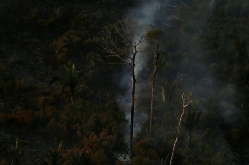 2019 08 29t231257z 1102615492 rc16b213bca0 rtrmadp 3 brazil environment wildfires