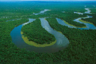 carbono negro no rio amazonas