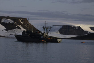 morsa gigante ataca e afunda navio