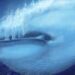 As baleias azuis são os maiores animais que já viveram na Terra.
(Imagem: © QAI Publishing / Universal Images Group via Getty Images)