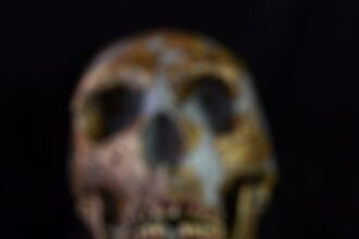 pedaço de colar de 40 mil anos é o último feito pelos neandertais