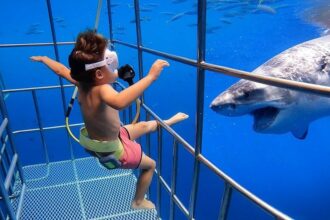 Criança com tubarões scaled