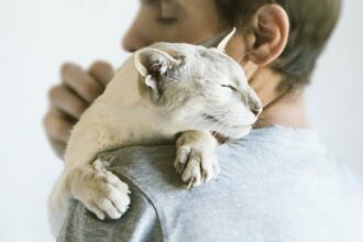 Uma pesquisa mostrou que os gatos se unem com segurança aos humanos. (Imagem: Valeriia_abrakadabra / iStock)