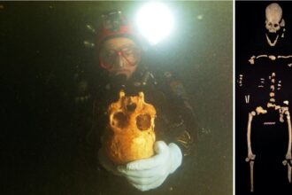 À direita: Mergulhadores descobriram os restos da mulher antiga na caverna do cenote de Chan Hol, perto de Tulum, México. Esquerda: Pedaços de esqueleto juntos. (Imagem: Eugenio Acevez e Jerónimo Avilés Olguín / Universidade de Heidelberg)