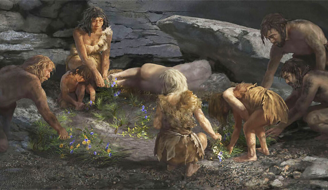 A sepultura traz evidências de que os neandertais colocavam flores nas sepulturas de seus mortos. (Imagem: Karen Carr)
