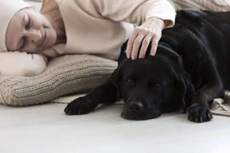 Pesquisadores usam a toxina mortal para curar cães com câncer de bexiga, o tratamento também se mostrou eficaz em eliminar células cancerígenas humanas.