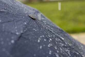 umbrella rain water wet screen raindrop autumn drip 1030162.jpgd
