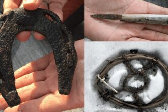 Vários artefatos de estrada viking. (Créditos: secretsoftheice.com)