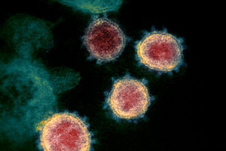 Novel Coronavirus SARS CoV 2