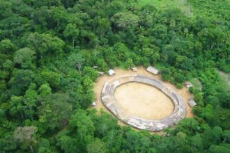 Vista aérea da aldeia Demini do povo Yanomami, Amazônia. (Domínio Público)
