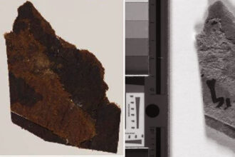 Fragmentos dos Manuscritos do Mar Morto com escrita visível. (Universidade de Manchester)