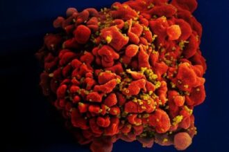 genoma mais antigo do HIV