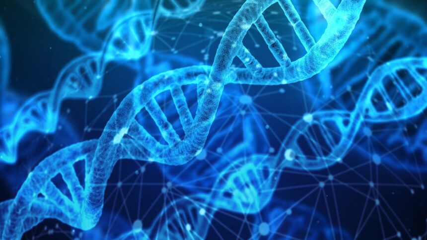 DNA e RNA - Genética