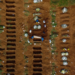Vista aérea do cemitério de Vila Formosa durante um enterro em meio à pandemia do coronavírus em São Paulo. (Imagem: Getty)