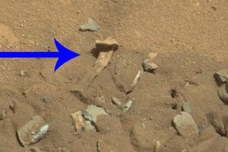 Osso humano "encontrado" em Marte
