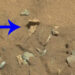 Osso humano encontrado em Marte