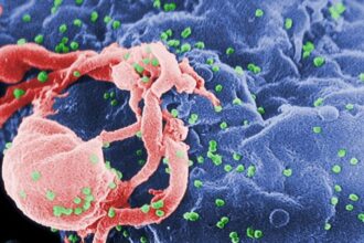 de onde veio o vírus hiv humano