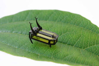 Science News, https://www.sciencenews.org/article/methanol-fuel-beetle-robot