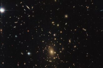 1030px Zooming in on the early Universe RXC J2211.7 0350