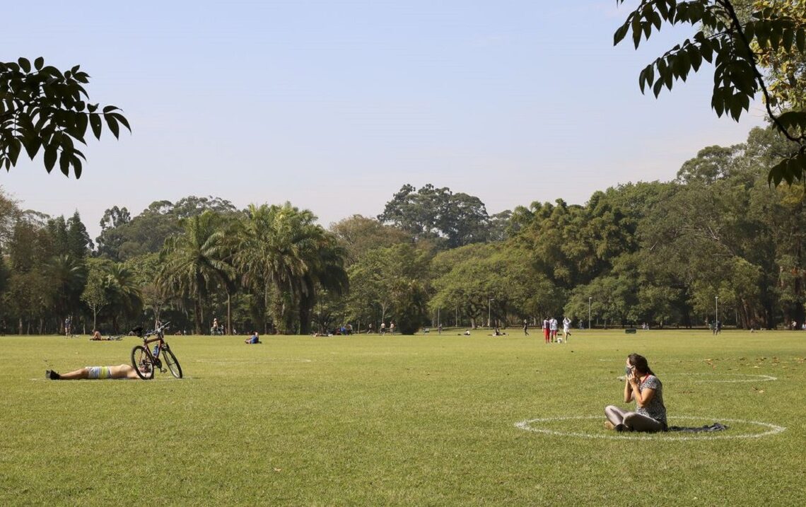 Lazer no Parque do Ibirapuera após a flexibilização do isolamento social durante a pandemia de covid-19. (Rovena Rosa/Agência Brasil)