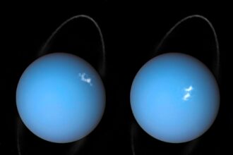 Auroras on Uranus