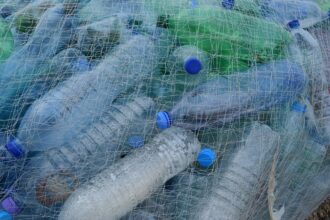 impactos do plástico no meio ambiente