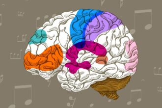 Cérebro música