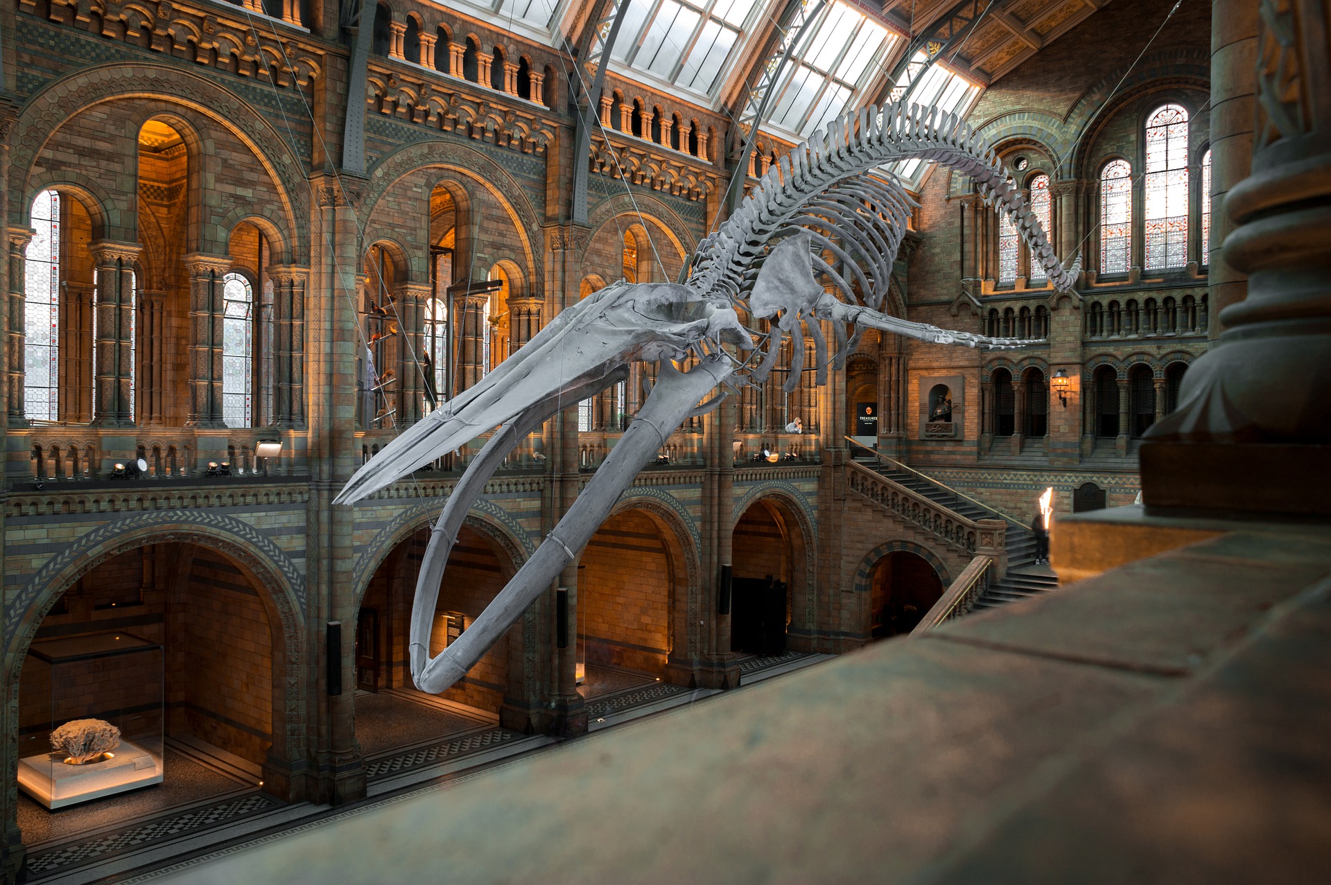 national history museum 4314035 1920