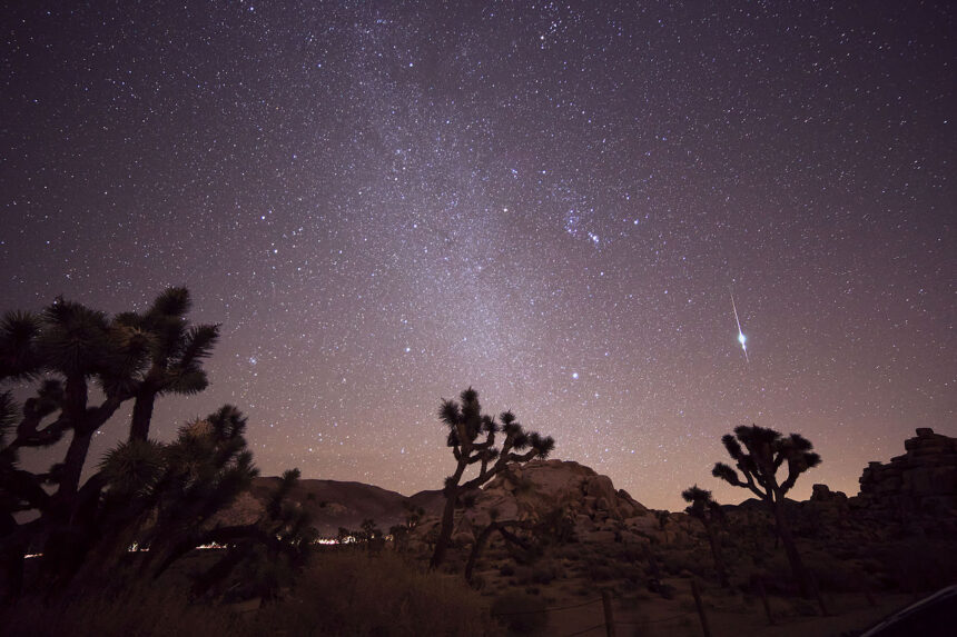 Taurid Meteor Shower Joshua Tree California 6 Nov. 2015