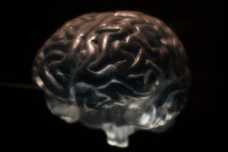 brain 2070412 1920
