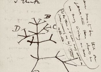 cadernos de anotações Darwin