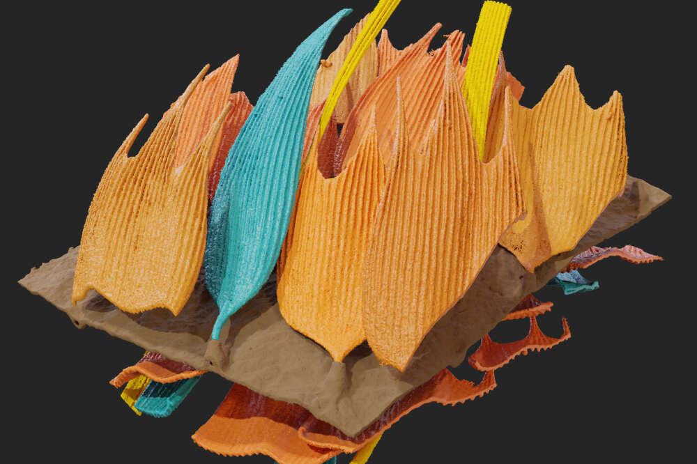 Modelagem gráfica de microestruturas tridimensionais das asas de mariposas à prova de som. (Imagem por: Simon Reichel, Thomas Neil, Zhiyuan Shen, and Marc Holderied)