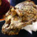 Pesquisadores descobriram um crânio de hominídeo que mostra indícios da microevolução acontecendo (La Trobe University)