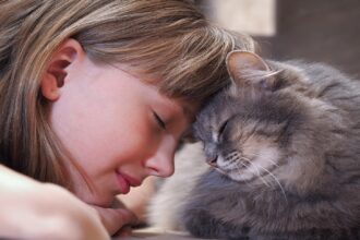 gato gosta de humano mais do que comida