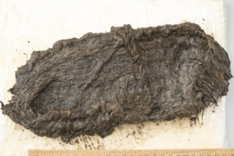 sapato de 5 mil anos tirado de lago na suica