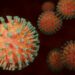 Estudos mostram que um suposto coronavírus pode ter circulado na Ásia há 25 mil anos. Imagem: Daniel Roberts/Pixabay