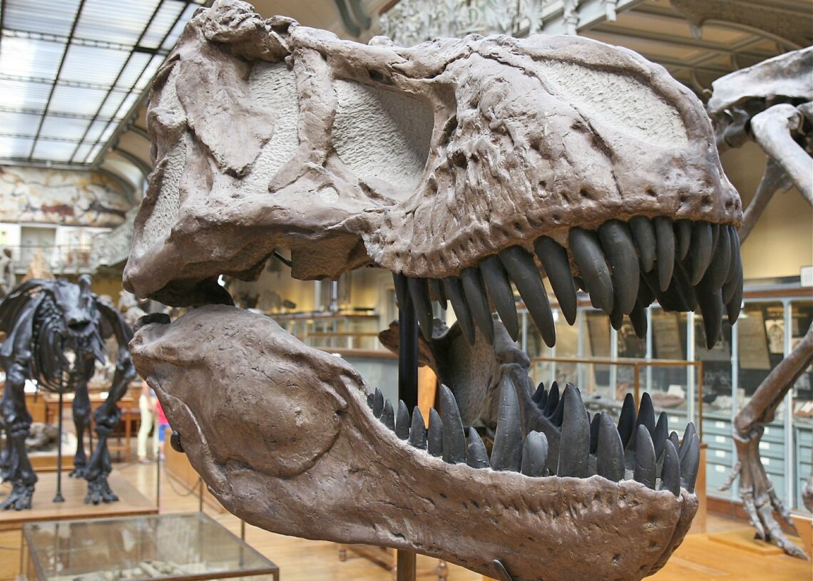 EStudos mostram que os tiranossauros na verdade andavam muito mais devagar do que se pensava. Imagem: Sergey Nemo/Pixabay